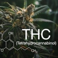 What is the Meaning of THC?