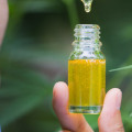 Can CBD Oil Help You Feel More Emotional?