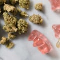 What are the Effects of Eating Edible Cannabis Products?